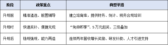 2025年小微工業(yè)企業(yè)上規(guī)模政策解讀：升規(guī)不是目的，產(chǎn)業(yè)躍升才是關(guān)鍵