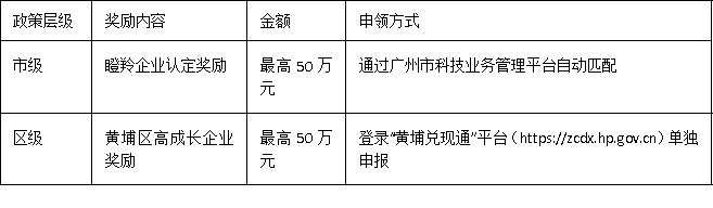 黃埔區(qū)企業(yè)請(qǐng)關(guān)注：2025年瞪羚企業(yè)認(rèn)定要點(diǎn)與區(qū)域?qū)傺a(bǔ)貼解析