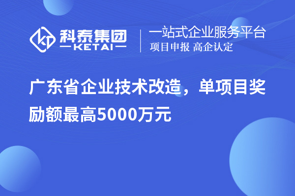 廣東省企業(yè)技術(shù)改造，單項(xiàng)目獎(jiǎng)勵(lì)額最高5000萬元！