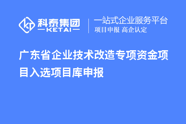 廣東省企業(yè)技術改造專項資金項目入選項目庫申報