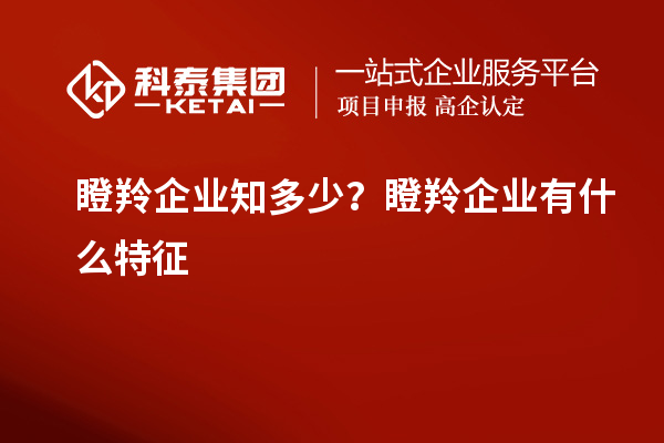瞪羚企業(yè)知多少？瞪羚企業(yè)有什么特征