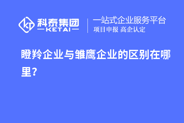 瞪羚企業(yè)與雛鷹企業(yè)的區(qū)別在哪里？