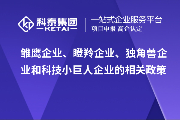 雛鷹企業(yè)、瞪羚企業(yè)、獨(dú)角獸企業(yè)和科技小巨人企業(yè)的相關(guān)政策