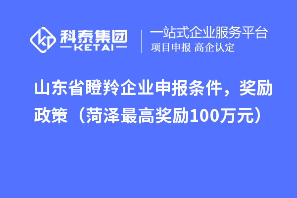 山東省瞪羚企業(yè)申報(bào)條件，獎(jiǎng)勵(lì)政策（菏澤最高獎(jiǎng)勵(lì)100萬元）