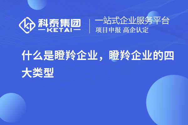 什么是瞪羚企業(yè)，瞪羚企業(yè)的四大類型