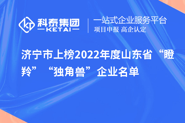 濟(jì)寧市上榜2022年度山東省“瞪羚”“獨角獸”企業(yè)名單