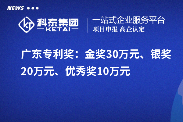廣東專利獎：金獎30萬元、銀獎20萬元、優(yōu)秀獎10萬元（省級）