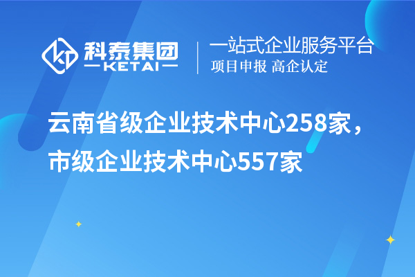 云南省級(jí)企業(yè)技術(shù)中心258家，市級(jí)企業(yè)技術(shù)中心557家