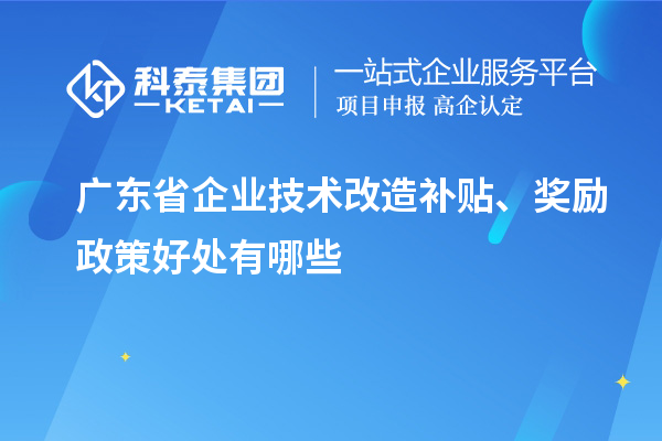 廣東省企業(yè)技術改造補貼、獎勵政策好處有哪些