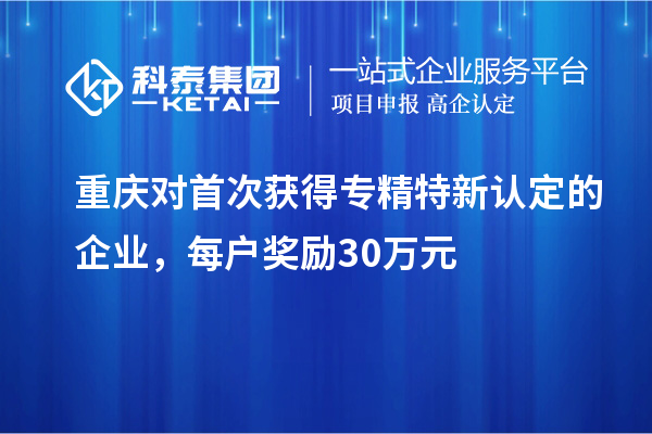 重慶對首次獲得專精特新認定的企業(yè)，每戶獎勵30萬元