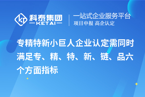 專精特新小巨人企業(yè)認(rèn)定需同時(shí)滿足專、精、特、 新、鏈、品六個(gè)方面指標(biāo)