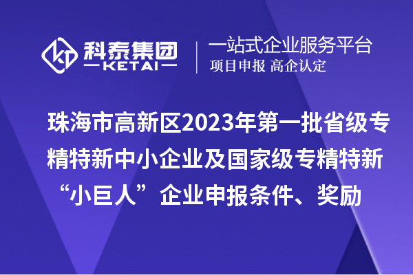 珠海市高新區(qū)2023年第一批省級(jí)專精特新中小企業(yè)及國家級(jí)專精特新“小巨人”企業(yè)申報(bào)條件、獎(jiǎng)勵(lì)