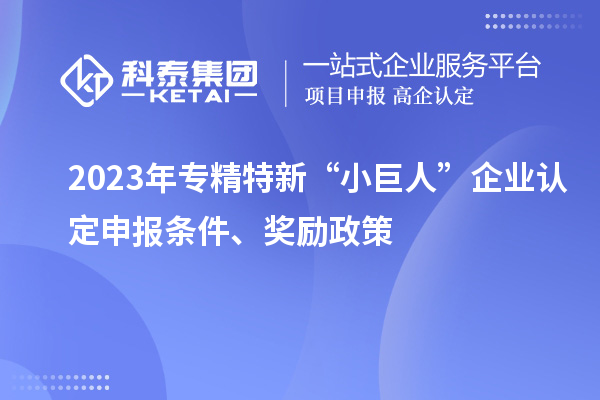 2023年專精特新“小巨人”企業(yè)認(rèn)定申報(bào)條件、獎勵政策