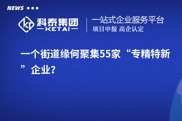 一個街道緣何聚集55家“專精特新”企業(yè)？