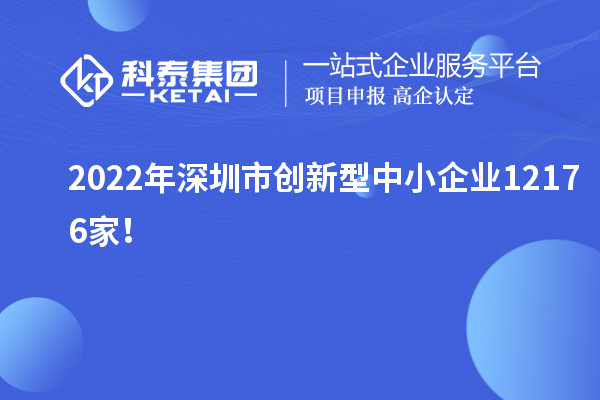 2022年深圳市創(chuàng)新型中小企業(yè)12176家！