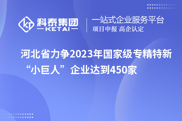 河北省力爭2023年國家級(jí)專精特新“小巨人”企業(yè)達(dá)到450家