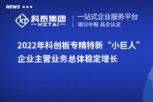 2022年科創(chuàng)板專精特新“小巨人”企業(yè)主營業(yè)務總體穩(wěn)定增長