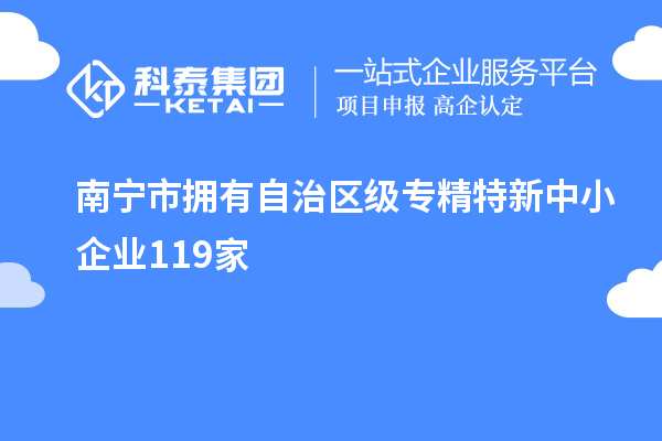 南寧市擁有自治區(qū)級(jí)專精特新中小企業(yè)119家