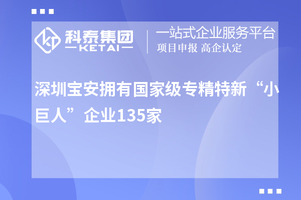 深圳寶安擁有國(guó)家級(jí)專精特新“小巨人”企業(yè)135家
