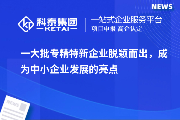 一大批專精特新企業(yè)脫穎而出,成為中小企業(yè)發(fā)展的亮點