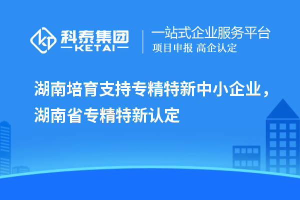 湖南培育支持專精特新中小企業(yè)，湖南省專精特新認定