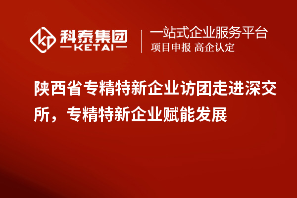 陜西省專精特新企業(yè)訪團(tuán)走進(jìn)深交所，專精特新企業(yè)賦能發(fā)展