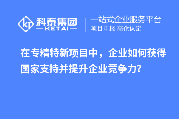 在專精特新項(xiàng)目中，企業(yè)如何獲得國家支持并提升企業(yè)競爭力？