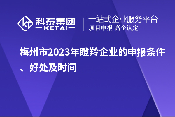 梅州市2023年瞪羚企業(yè)的申報(bào)條件、好處及時(shí)間