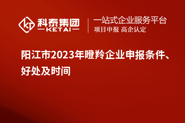 陽江市2023年瞪羚企業(yè)申報條件、好處及時間