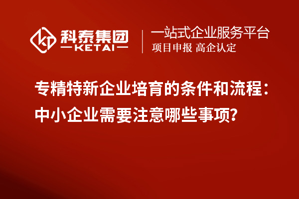 專精特新企業(yè)培育的條件和流程：中小企業(yè)需要注意哪些事項？