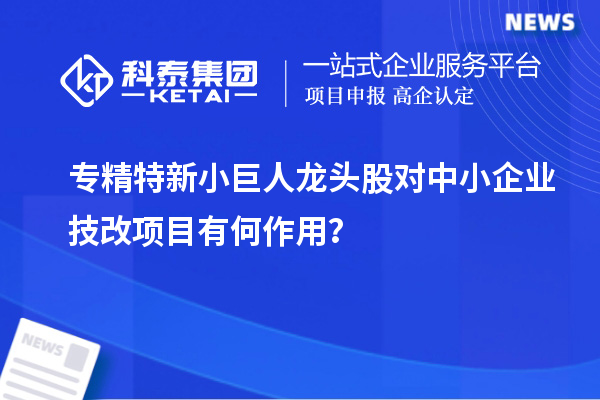 專精特新小巨人龍頭股對中小企業(yè)技改項目有何作用？