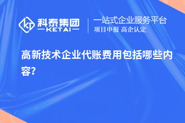 高新技術(shù)企業(yè)代賬費(fèi)用包括哪些內(nèi)容？