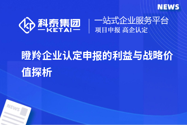瞪羚企業(yè)認定申報的利益與戰(zhàn)略價值探析		 		