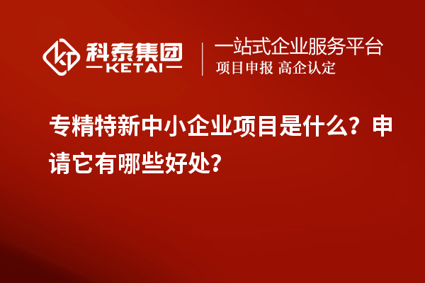 專精特新中小企業(yè)項(xiàng)目是什么？申請(qǐng)它有哪些好處？