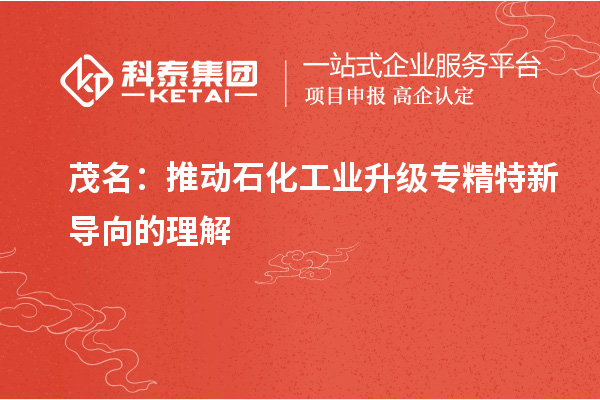 茂名:推動(dòng)石化工業(yè)升級(jí)專精特新導(dǎo)向的理解