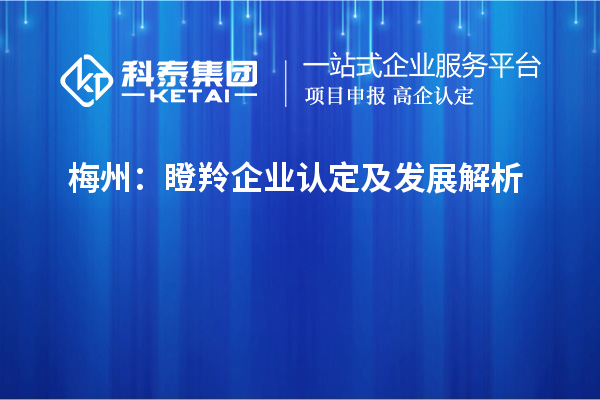 梅州:瞪羚企業(yè)認定及發(fā)展解析