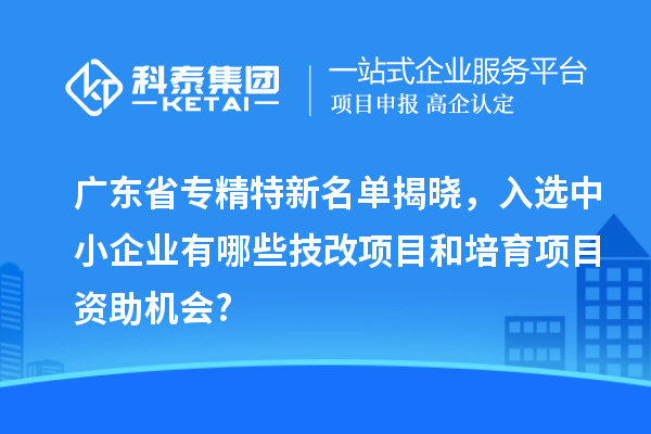 廣東省專精特新名單揭曉，入選中小企業(yè)有哪些技改項目和培育項目資助機會?