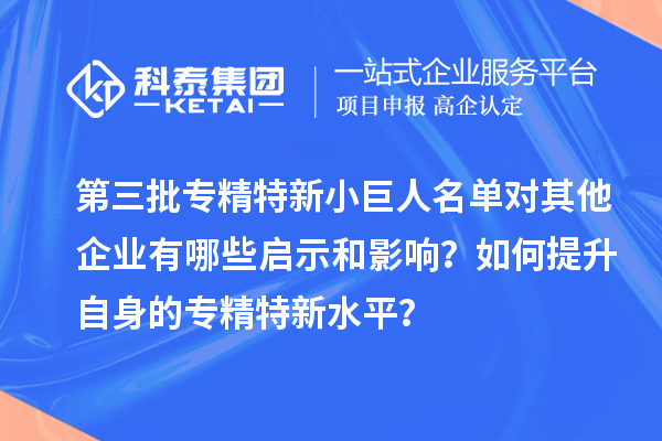第三批專精特新小巨人名單對其他企業(yè)有哪些啟示和影響？如何提升自身的專精特新水平？
