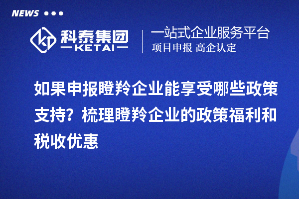 如果申報(bào)瞪羚企業(yè)能享受哪些政策支持？梳理瞪羚企業(yè)的政策福利和稅收優(yōu)惠