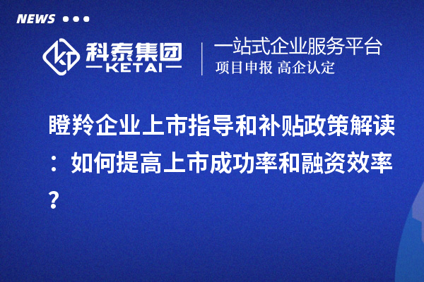 瞪羚企業(yè)上市指導和補貼政策解讀：如何提高上市成功率和融資效率？