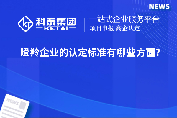 瞪羚企業(yè)的認定標準有哪些方面？
