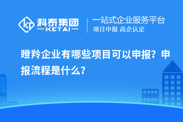 瞪羚企業(yè)有哪些項目可以申報？申報流程是什么？