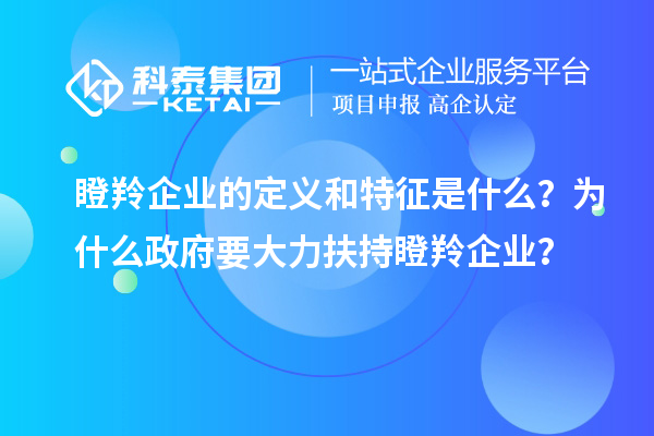瞪羚企業(yè)的定義和特征是什么？為什么政府要大力扶持瞪羚企業(yè)？