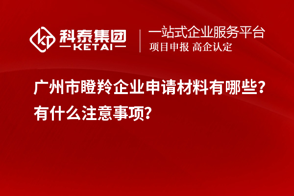 廣州市瞪羚企業(yè)申請材料有哪些？有什么注意事項？