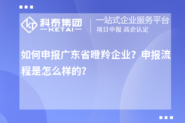 如何申報廣東省瞪羚企業(yè)？申報流程是怎么樣的？