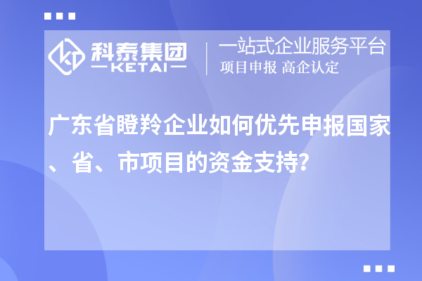 廣東省瞪羚企業(yè)如何優(yōu)先申報國家、省、市項目的資金支持？