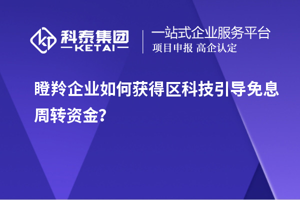 瞪羚企業(yè)如何獲得區(qū)科技引導(dǎo)免息周轉(zhuǎn)資金？