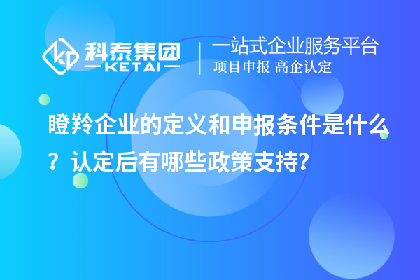 瞪羚企業(yè)的定義和申報(bào)條件是什么？認(rèn)定后有哪些政策支持？