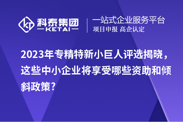 2023年專精特新小巨人評(píng)選揭曉，這些中小企業(yè)將享受哪些資助和傾斜政策?