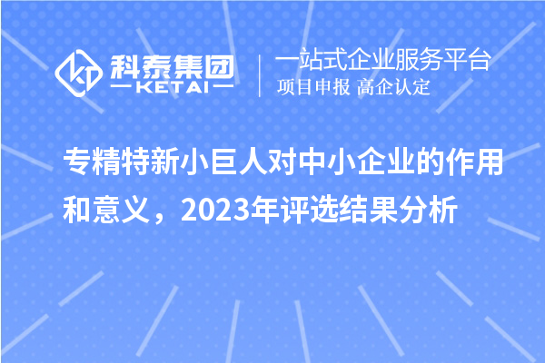 專精特新小巨人對(duì)中小企業(yè)的作用和意義，2023年評(píng)選結(jié)果分析